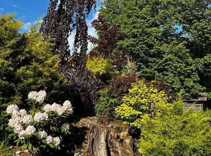 W Dolinie Vakantiehuis